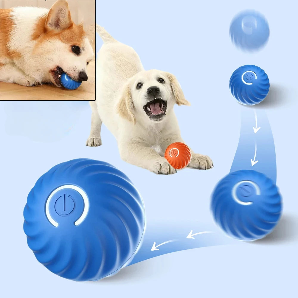 Bolinha Inteligente Interativa para Pets com Movimentos Automáticos, Quiques e Carregamento USB