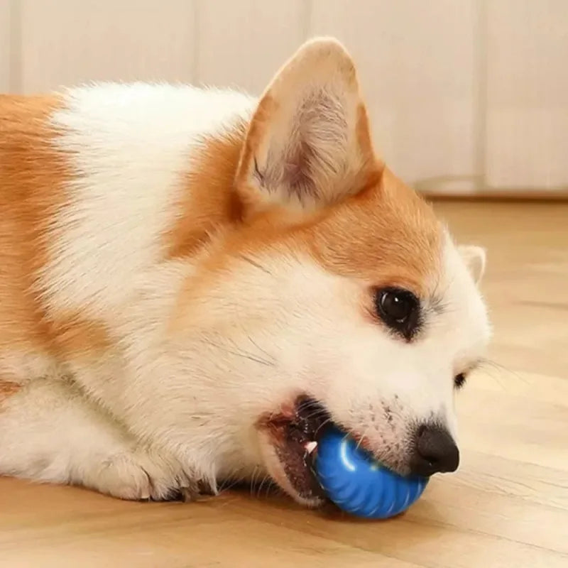 Bolinha Inteligente Interativa para Pets com Movimentos Automáticos, Quiques e Carregamento USB
