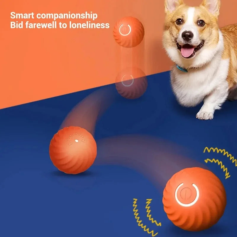 Bolinha Inteligente Interativa para Pets com Movimentos Automáticos, Quiques e Carregamento USB