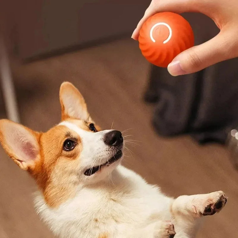 Bolinha Inteligente Interativa para Pets com Movimentos Automáticos, Quiques e Carregamento USB