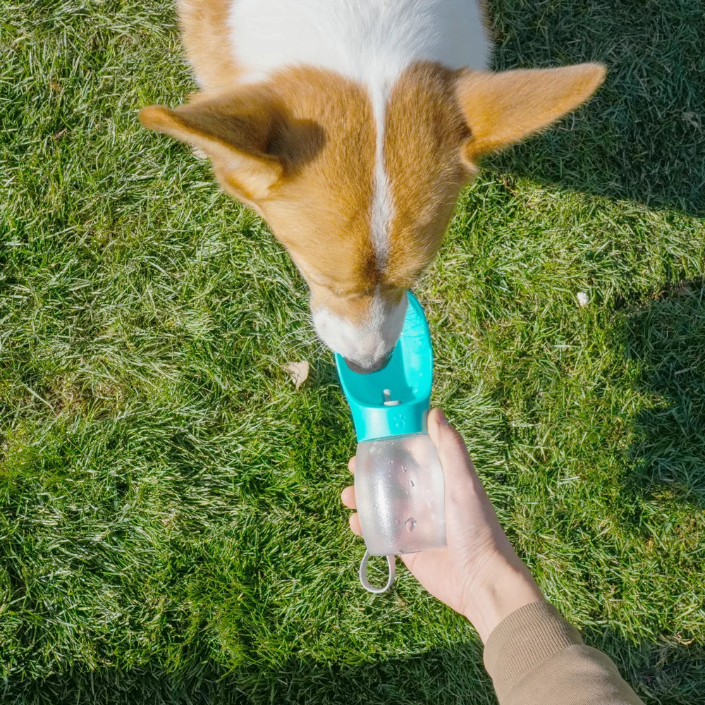 Garrafa de Água Portátil 2 em 1 com Bebedouro Acoplado para Passeios Pet (300ml)